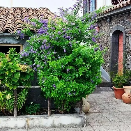 Casa Leopina Apri Gli Occhi E Vola Oltre Il Mare Holiday home *