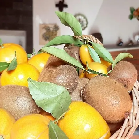 Casa Leopina Apri Gli Occhi E Vola Oltre Il Mare Semesterbostad SantʼAlfio