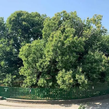 Semesterbostad Casa Leopina Apri Gli Occhi E Vola Oltre Il Mare