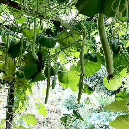 Casa Leopina Apri Gli Occhi E Vola Oltre Il Mare Semesterbostad *